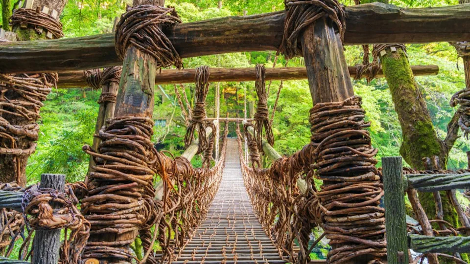 Iya Valley, Tokushima, Japan at the Kazurabashi vine bridge. Though rebuilt periodically, the history of the bridge dates back to more than 800 years.