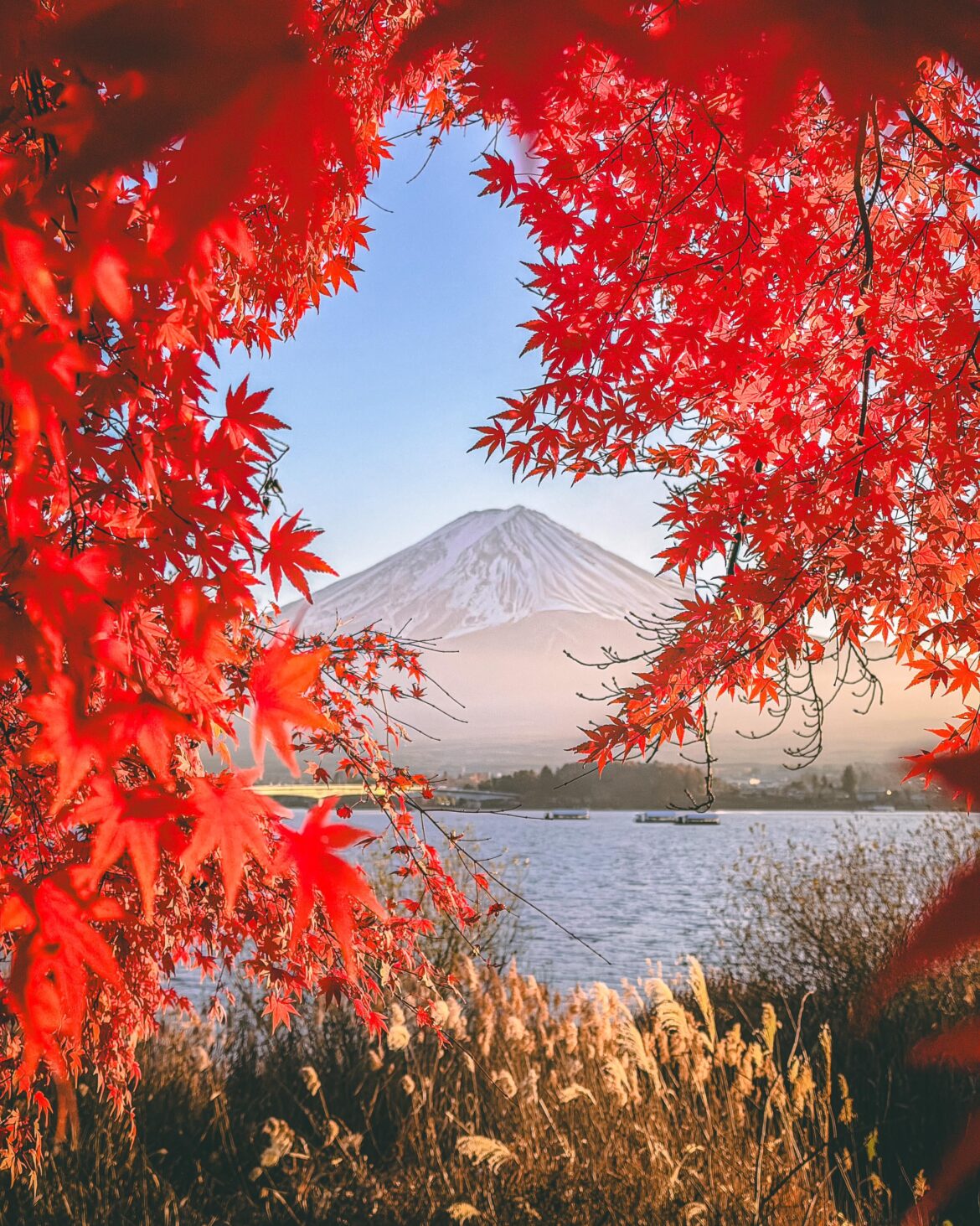 Mt. Fuji