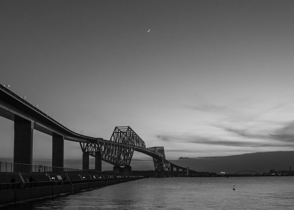 Tokyo Gate Bridge, Plus Cat!