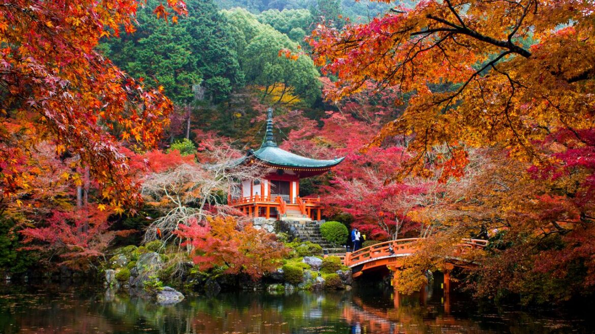 A seasonal guide to Japan, from spring cherry blossoms to winter snow Condé Nast Traveller