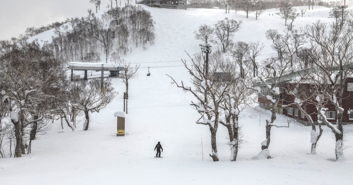 Boy, 5, Killed in Freak Accident at Japan Ski Resort Boy, 5, Killed in Freak Accident at Japan Ski Resort