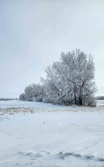 snowy North Dakota outside