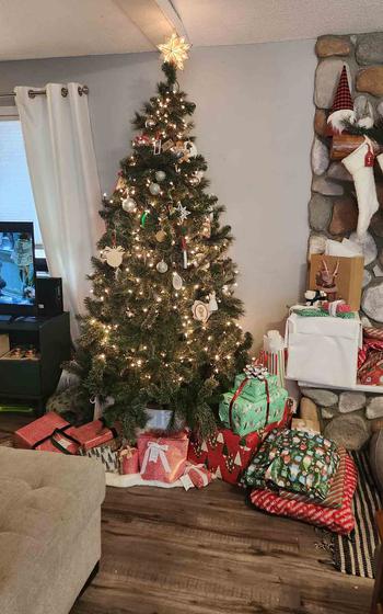 a Christmas tree in the house