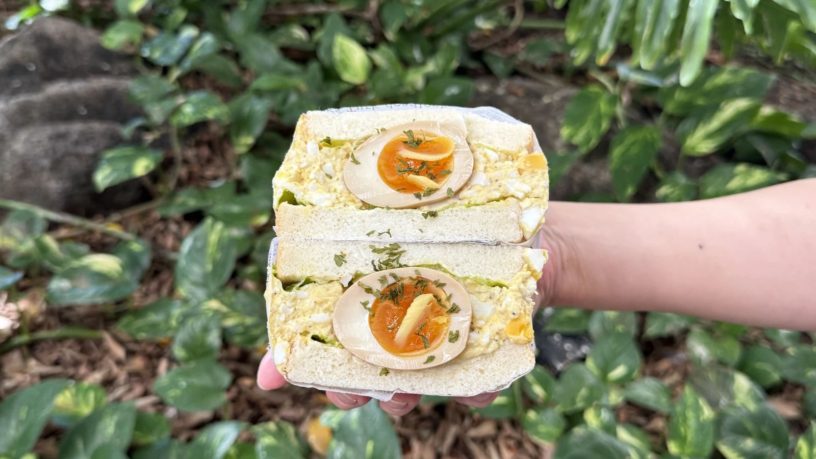 egg salad sando