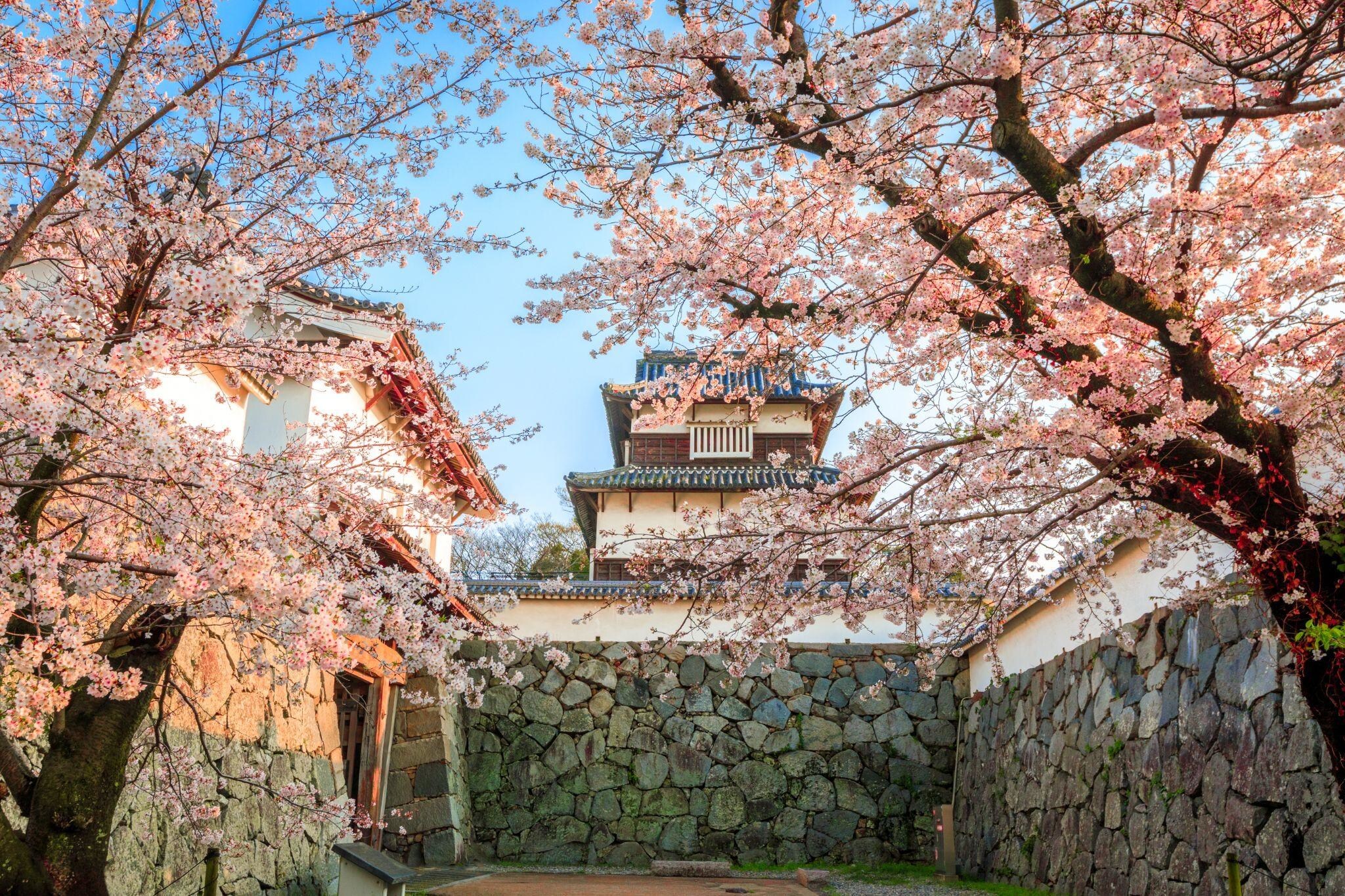 Credit: Fukuoka City