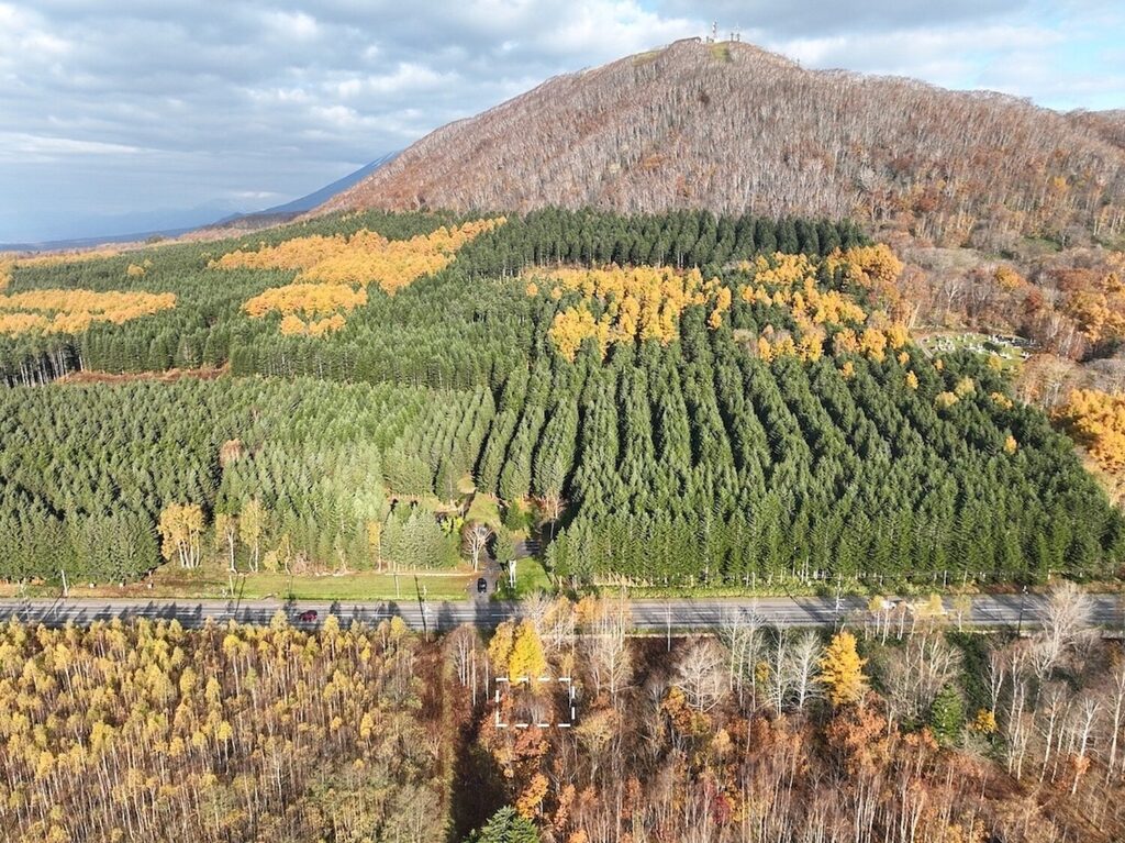 Rusutsu Route 230 Plot: 237sqm