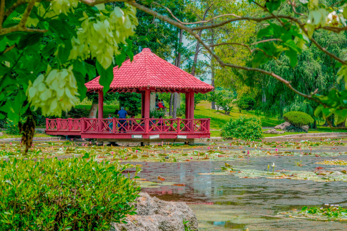 Havana's Japanese Garden, Beauty in Oblivion