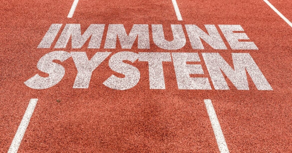 Japan’s immune health functional foods hit record high Japan's immune health functional foods hit record high