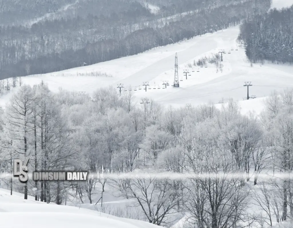 Blizzard batters Hokkaido as roads close and flights axed following heavy snow