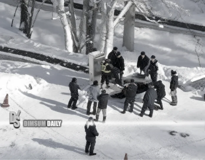 Hokkaido-5 year old boy