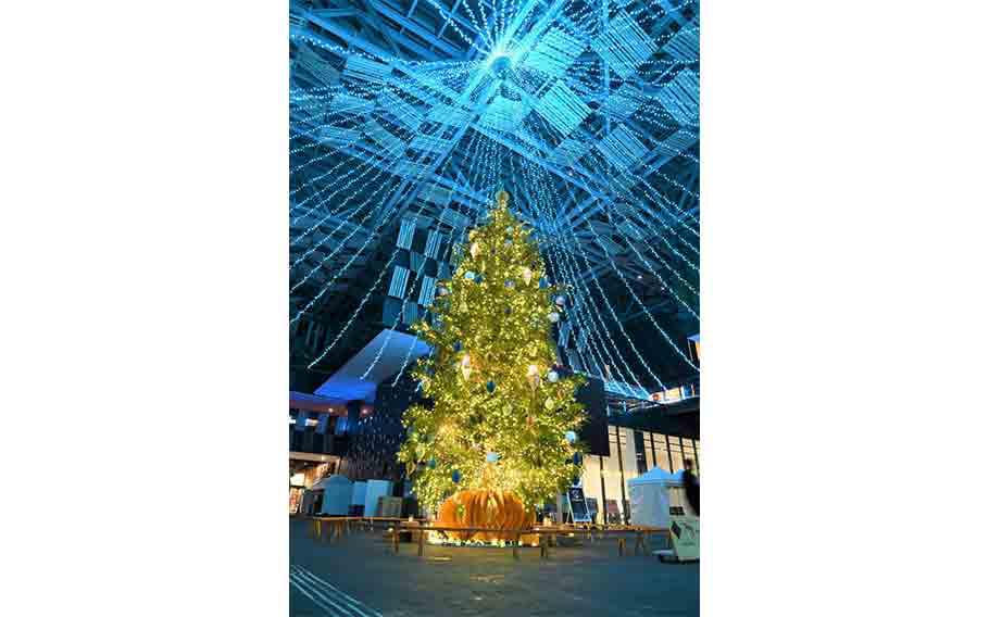 a Christmas tree at Nagaoka Christmas Market