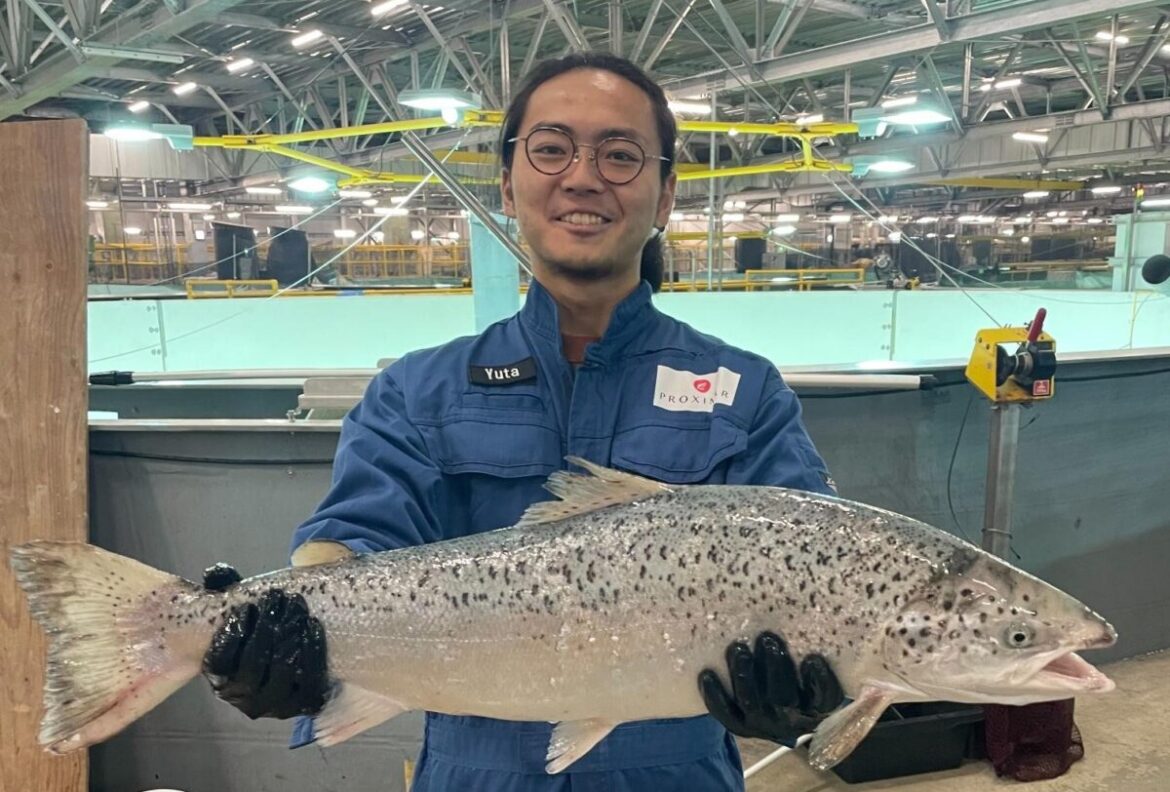 Fish Farmer - News - Mount Fuji salmon company issues "extraordinary update"