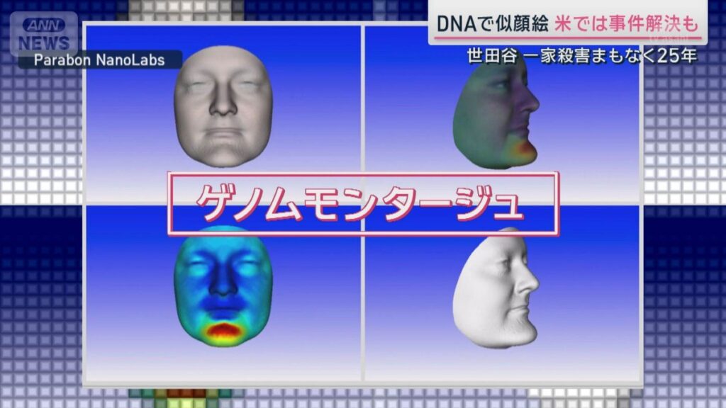 A DNA database can be used to recreate a suspect's image from evidence found at a crime scene