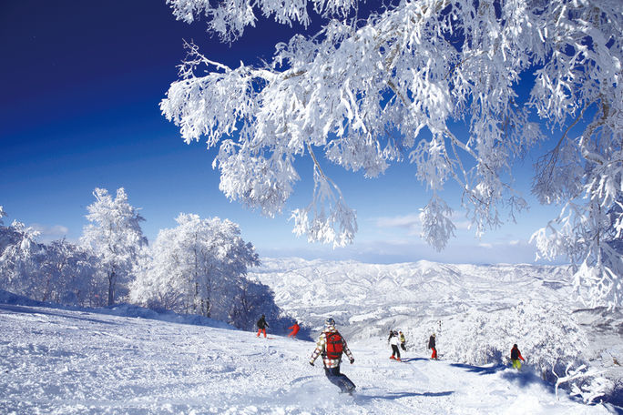 Skiers enjoy the slopes in Nagano Prefecture, Japan. Nagano Prefecture, ski destinations, skiing, skiing in japan