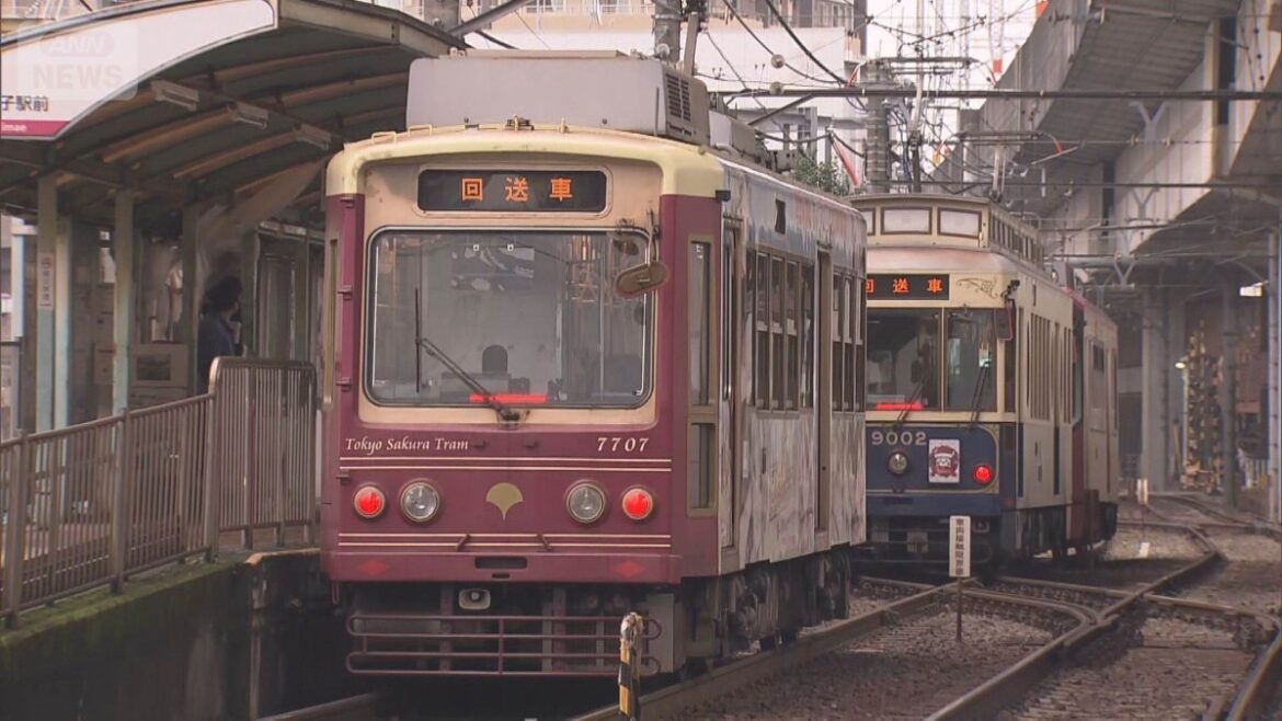Drunk driver brings Toden Arakawa Line to halt