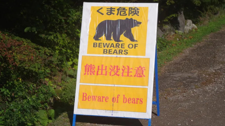 Japanese Beware of Bears sign Shirakawa-go