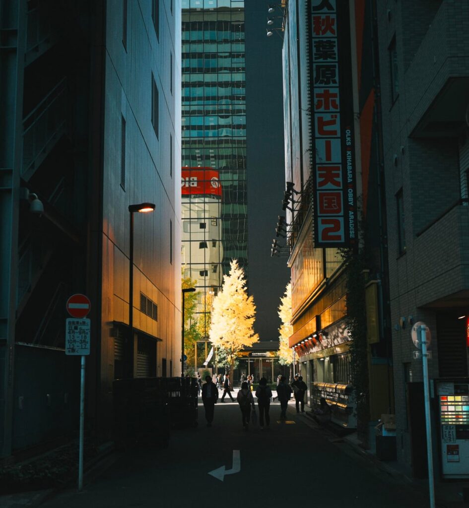 Early December in Tokyo, Kamakura