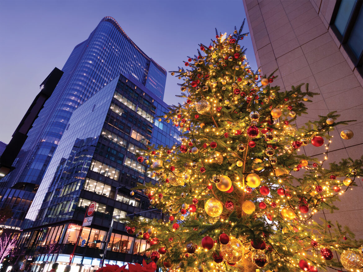 best things to do in tokyo in december