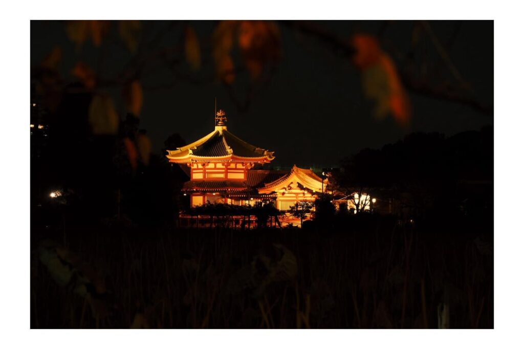 Shinobazu Pond Temple Shinobazu Pond Temple
