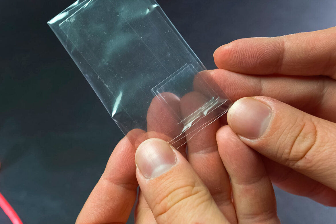 By Impregnating Wood with Salt, Japanese Researchers Have Developed a Biodegradable Plastic with Unprecedented Properties By Impregnating Wood with Salt, Japanese Researchers Have Developed a Biodegradable Plastic with Unprecedented Properties