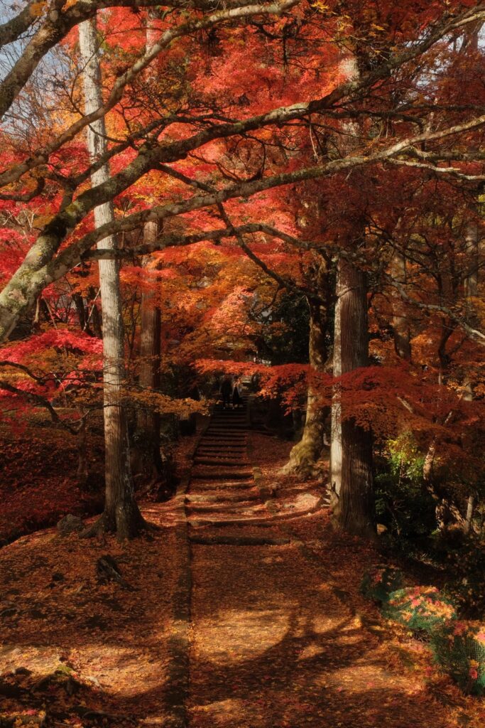 Ryuonji Temple, Kyoto