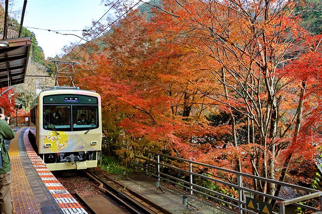 Panoramic train Mai starts rolling in northern Kyoto Photo/Illutration