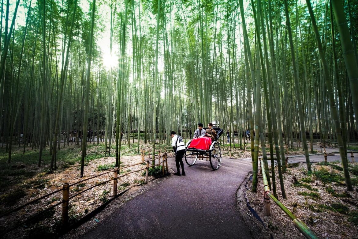 嵐山竹林 Arashiyama Bamboo Forest, Kyoto
