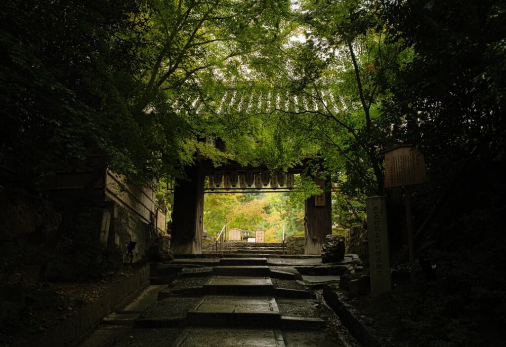 Kyoto & Himeji Trip pics & video