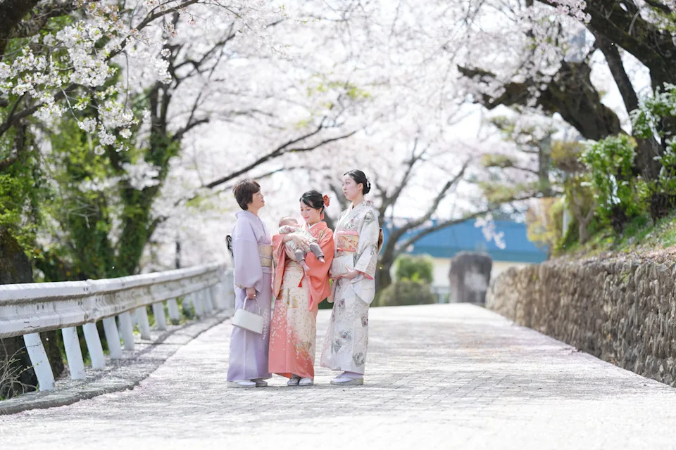 Japan during cherry blossom season