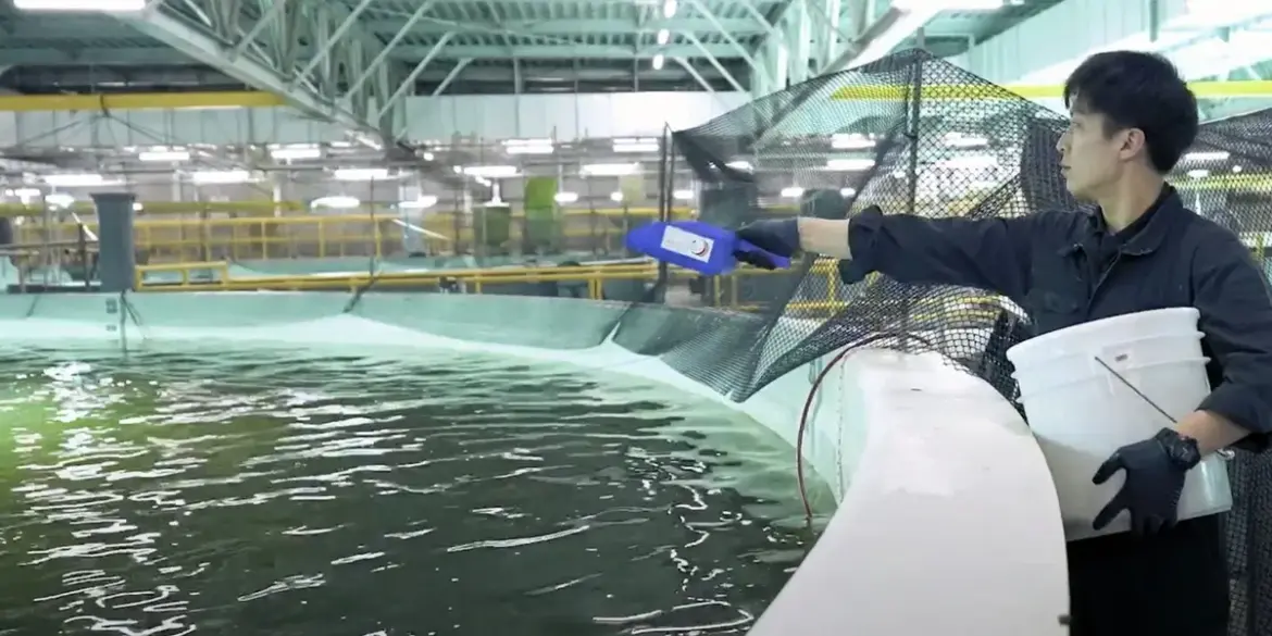 Proximar’s chair steps down | Intrafish Proximar's chair steps down | Intrafish