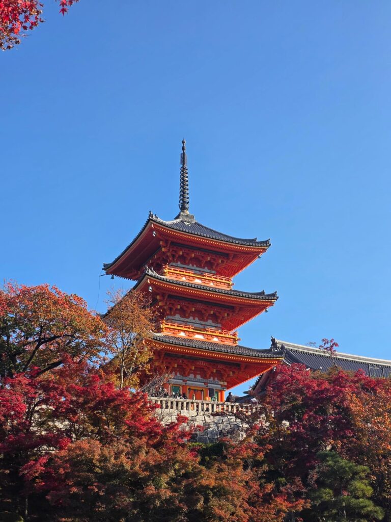 Best shots from my 1st trip