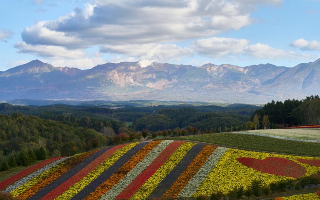 Biei, Hokkaido & surroundings