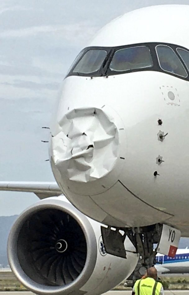 Air France Airbus A350 Damage by Bird; Forced to Make an Emergency Landing in Japan; Air France Radome Collapse