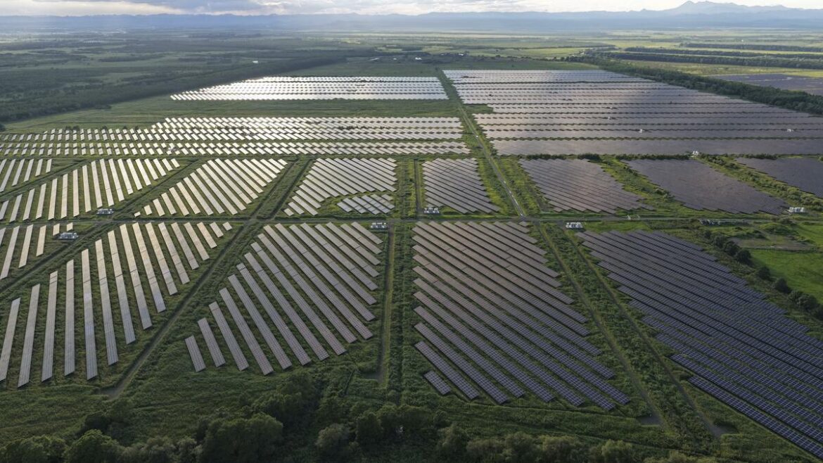 Japan to set up environment safeguards for mega solar project regulations