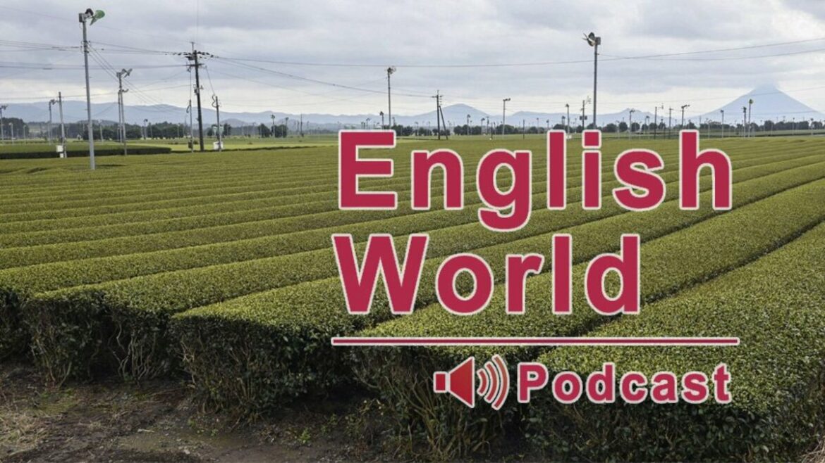 Japan’s green tea exports at 70-yr high Japan's green tea exports at 70-yr high