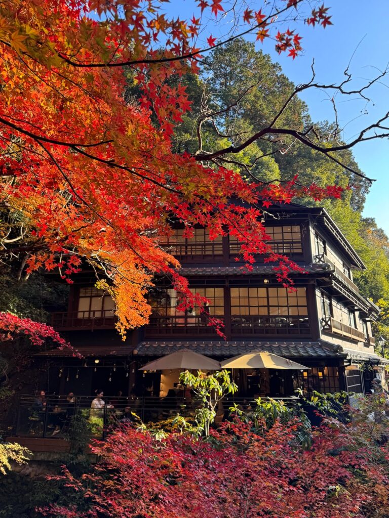 Minoo/ Minoh Park, Osaka
