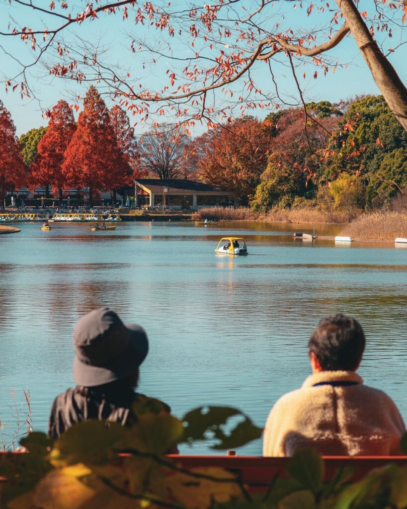 Lake scenes at Showa Kinen Park