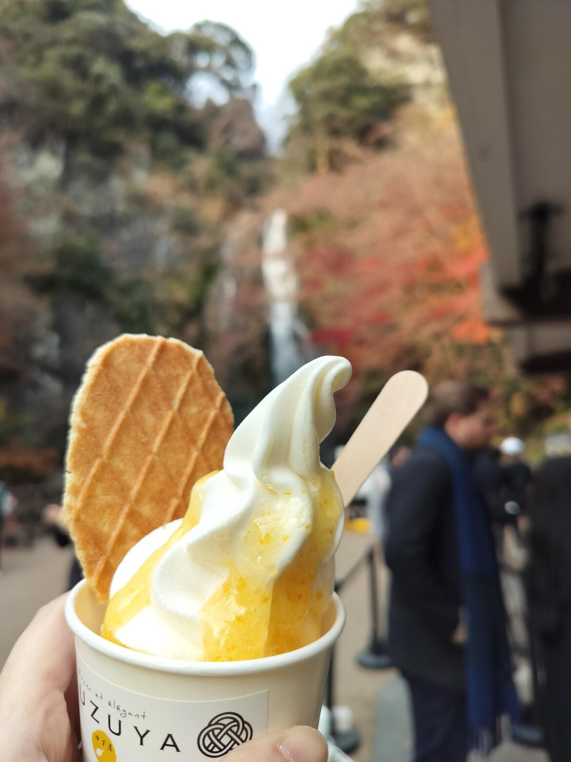 Yuzu soft serve I had in Minoh