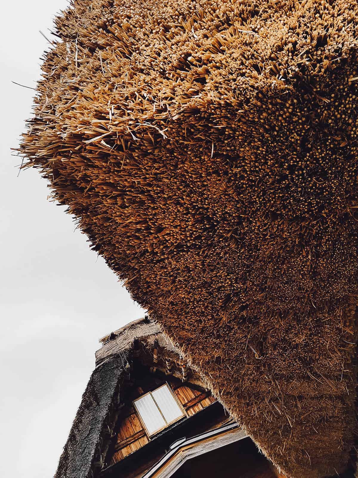The Shirakawa-go Winter Travel Guide Close-up of Shirakawa-go house's roof