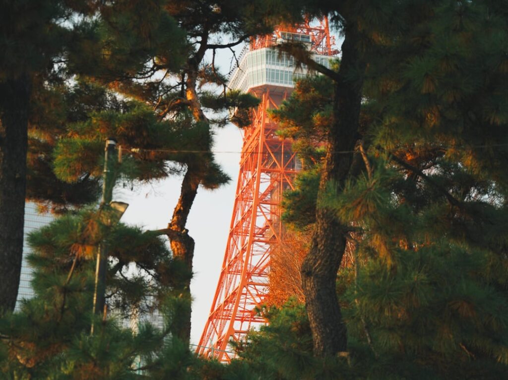 Random December Pics