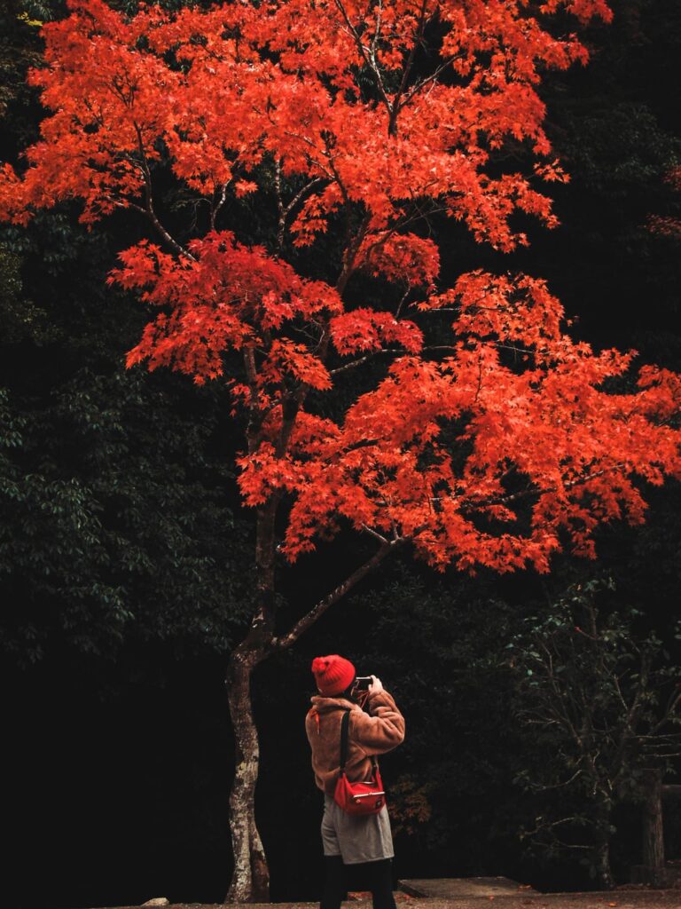Strolling around Minoh Park