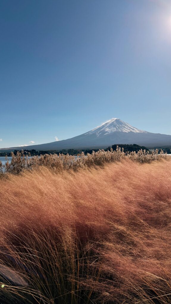 Mt. Fuji, November 2025