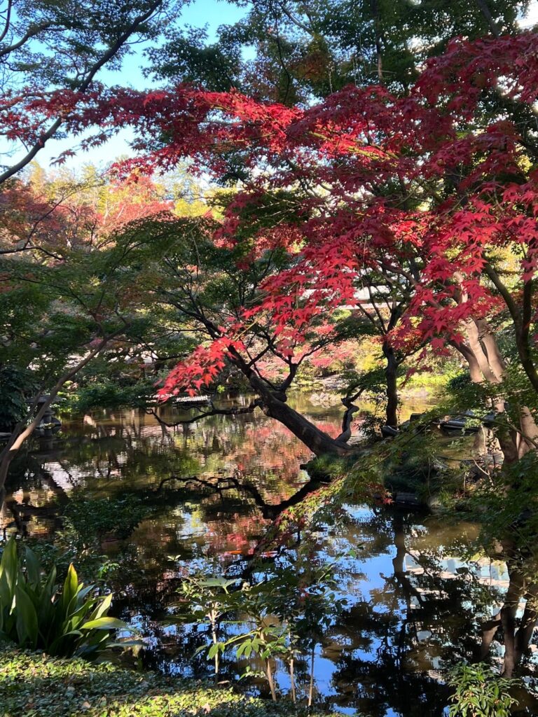 Tokyo in late November