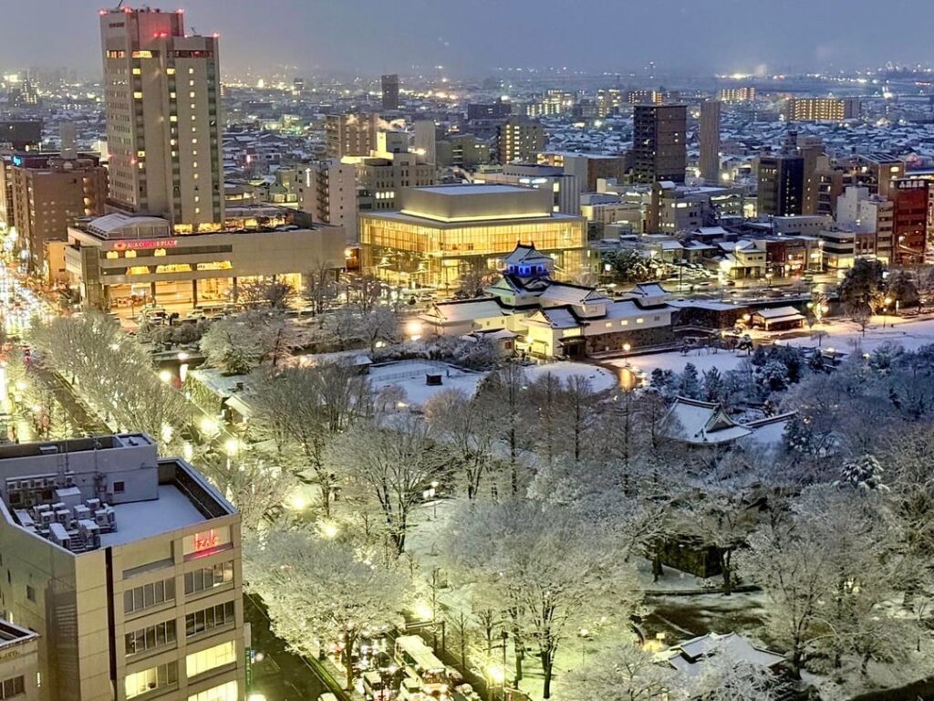 Beautiful snowy night at Toyama City