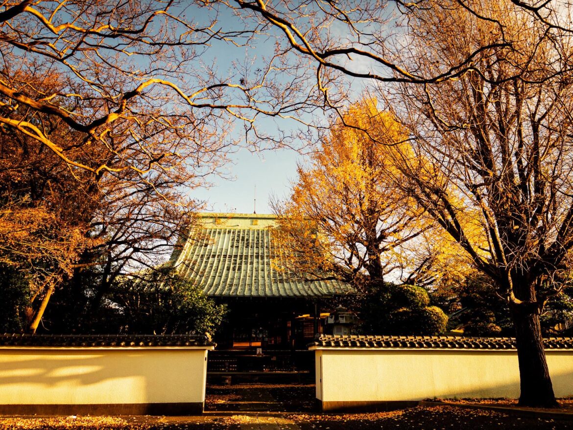 Yesterday morning at Enzoji, Saitama City