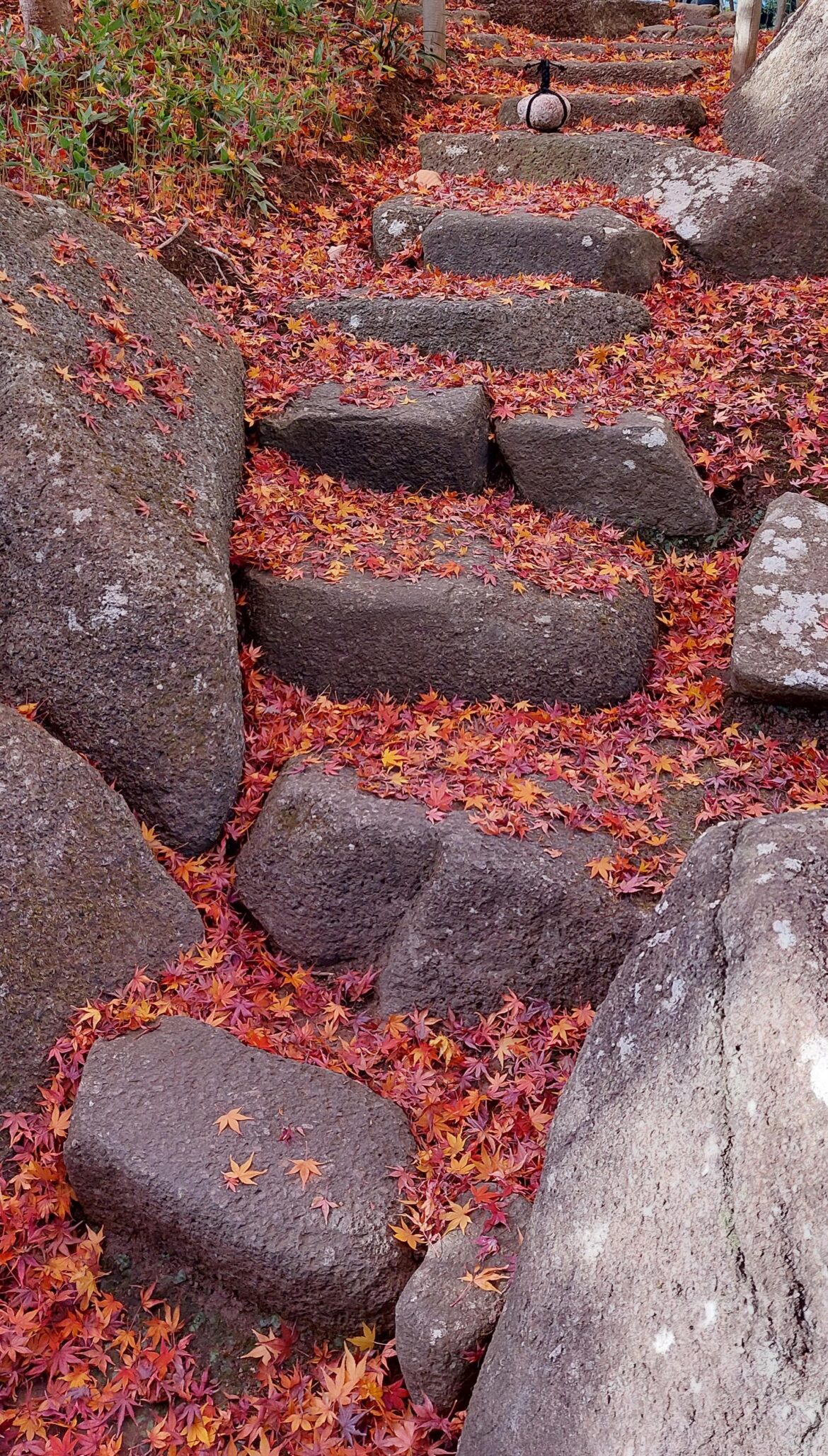 Hokokuji Temple, Kamakura
