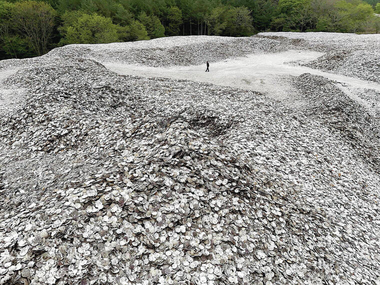 MASAKI FURUMAYA / THE JAPAN NEWS / 2022
Hokkaido boasts the largest catch of scallops in Japan, and a research group there is studying methods for recycling the shells. A sea of scallop shells blanket a lot in Hokkaidos Yubetsu town.