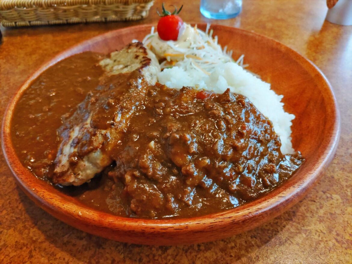Hamburger Steak & Curry