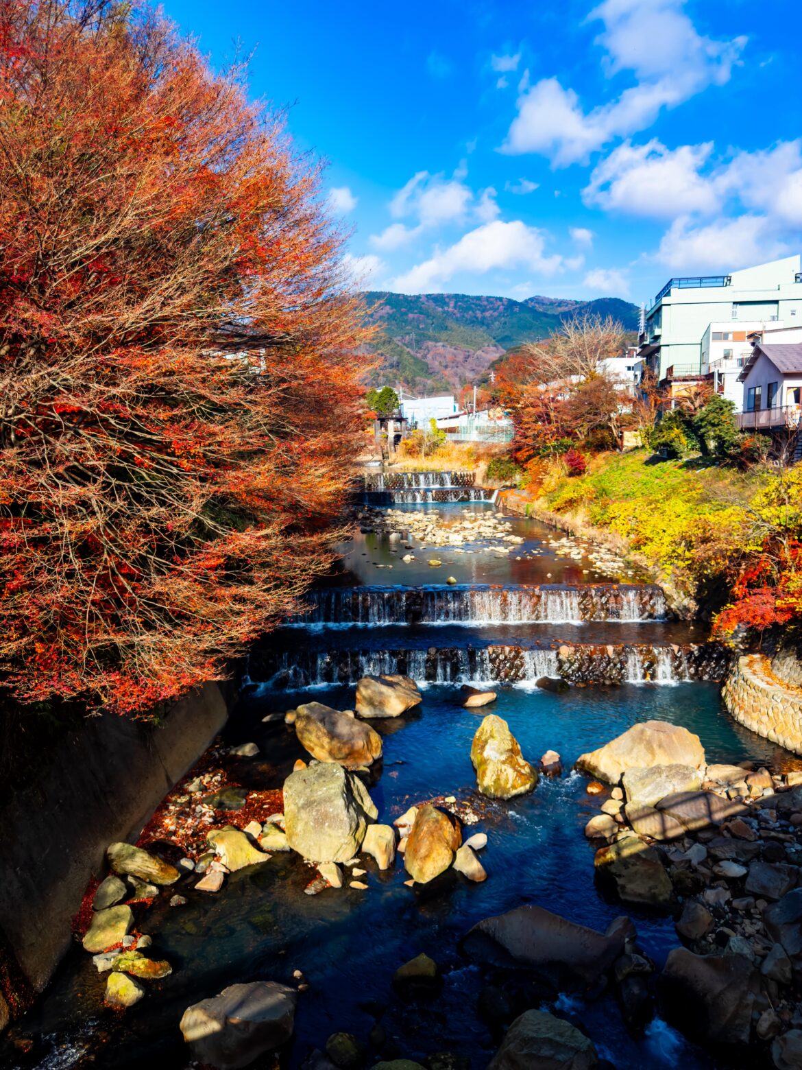 Fall in Hakone