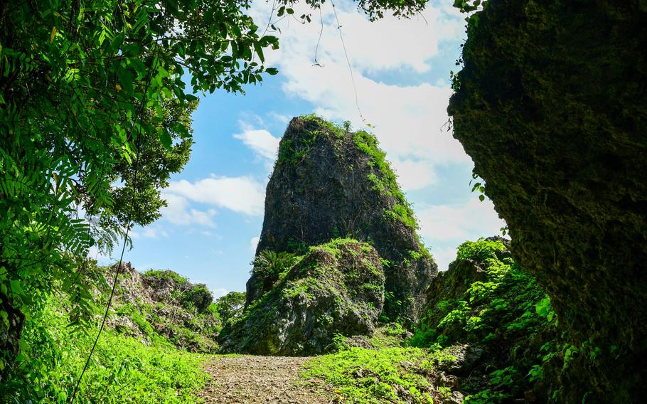 A steep, pointy rock is covered in green.